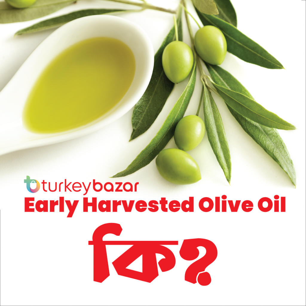 𝐄𝐚𝐫𝐥𝐲 𝐇𝐚𝐫𝐯𝐞𝐬𝐭𝐞𝐝 𝐎𝐥𝐢𝐯𝐞 𝐎𝐢𝐥